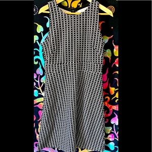 Ann Taylor Loft Size 6 Textured Black & Cream Sleeveless Flared Dress